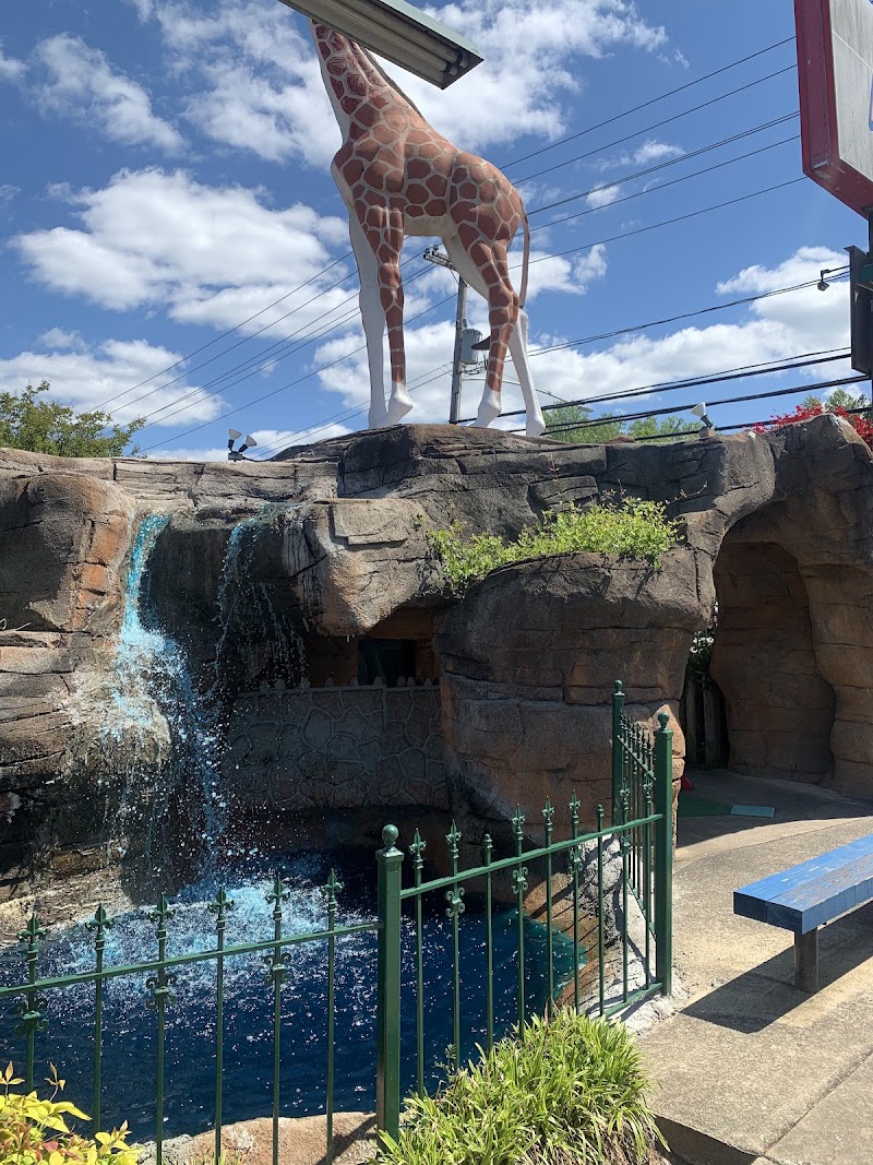 Adventure Landing Gastonia