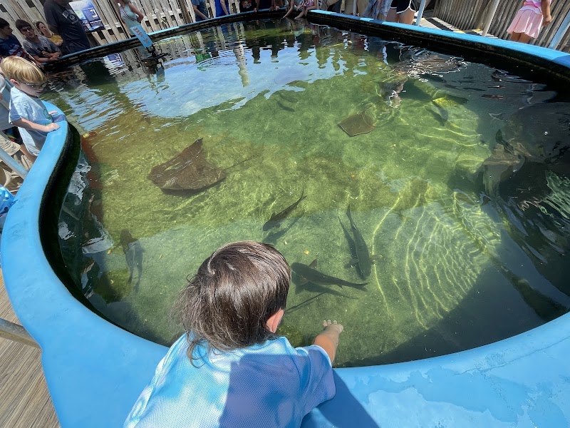 Alabama Aquarium at the Dauphin Island Sea Lab