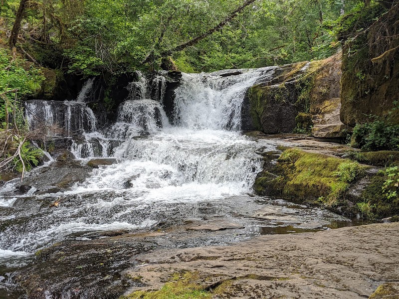 Alsea Falls Recreational Site