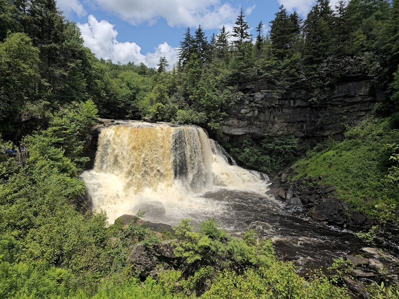 Blackwater Falls State Park