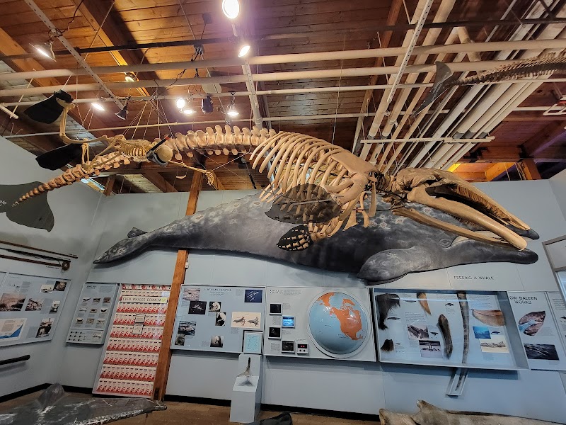 Cabrillo Marine Aquarium