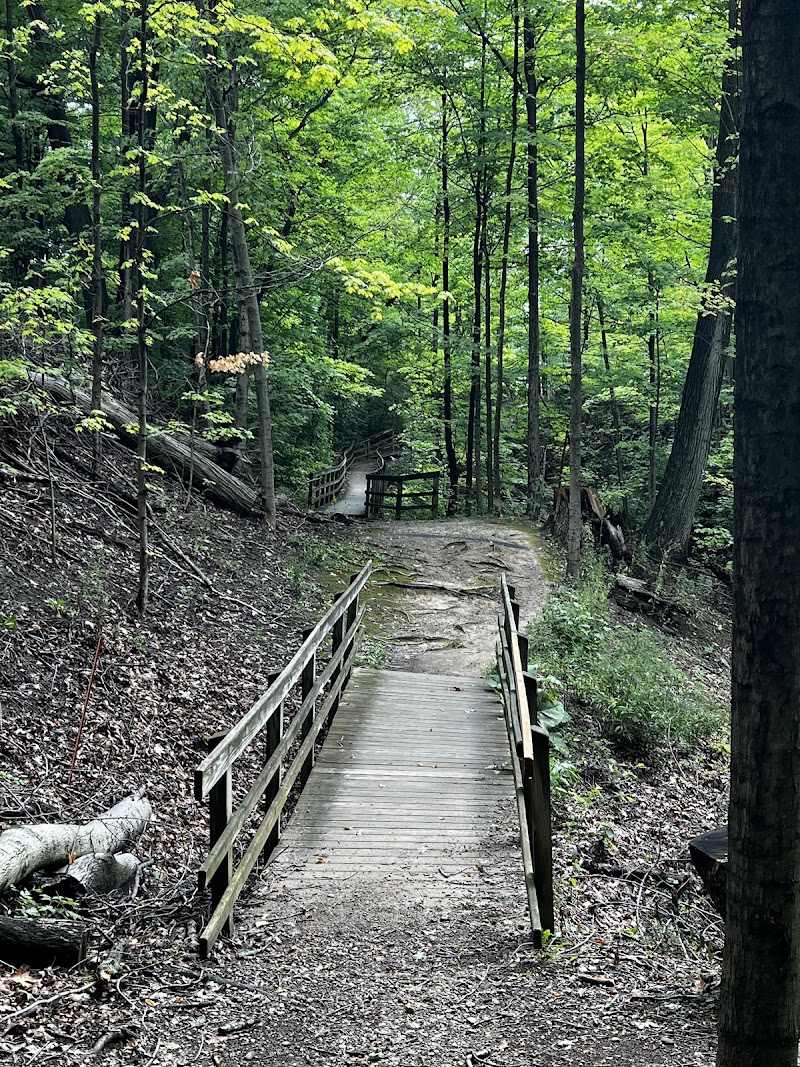 Cascade Valley Metro Park-Schumacher Valley Area