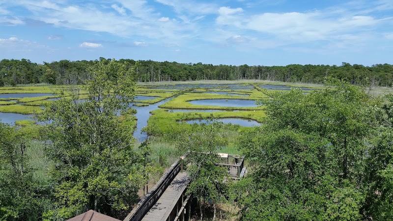 Cattus Island County Park