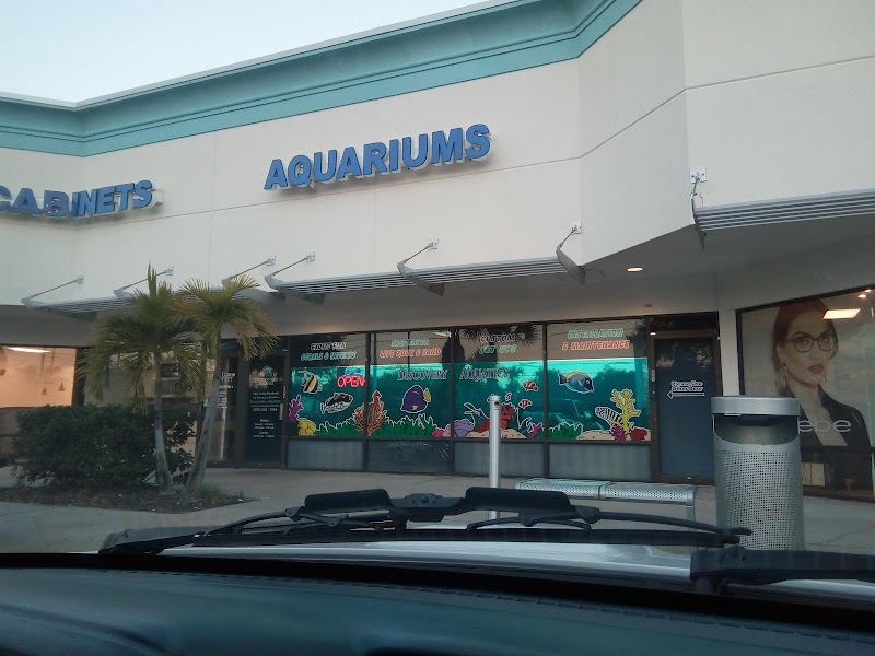 Discovery Aquatics - Marine Fish, Coral, Saltwater Fish Store