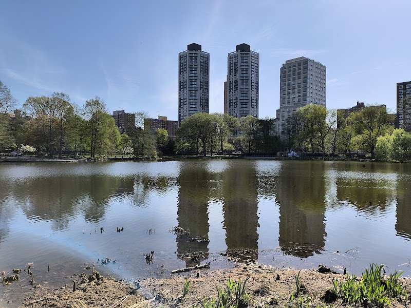 Harlem Meer
