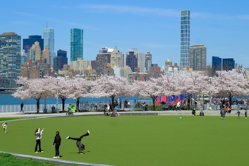 Hunter's Point South Park