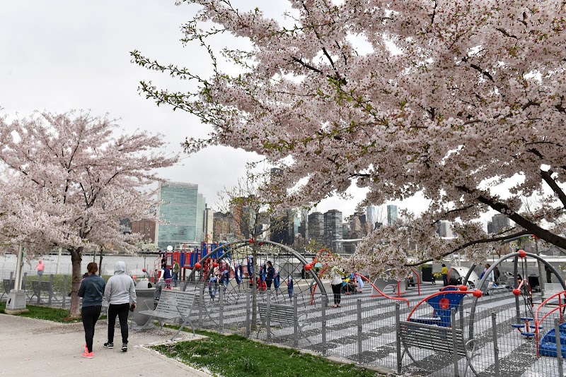 Hunter's Point South Park Playground
