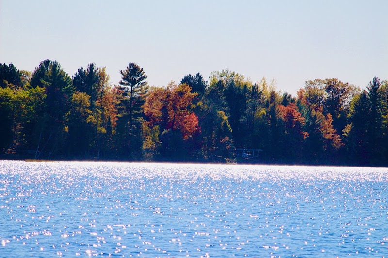 Island Lake Endeavors