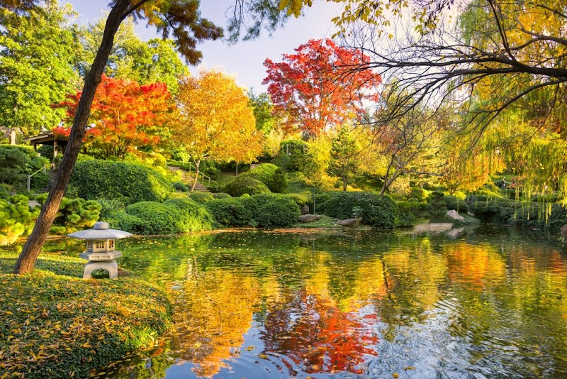 Japanese Garden