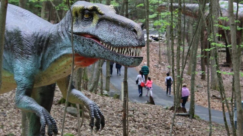 Lake George Expedition Park