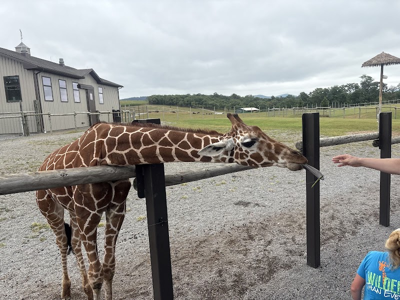 Lake Tobias Wildlife Park