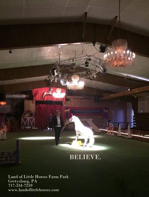 Land of Little Horses