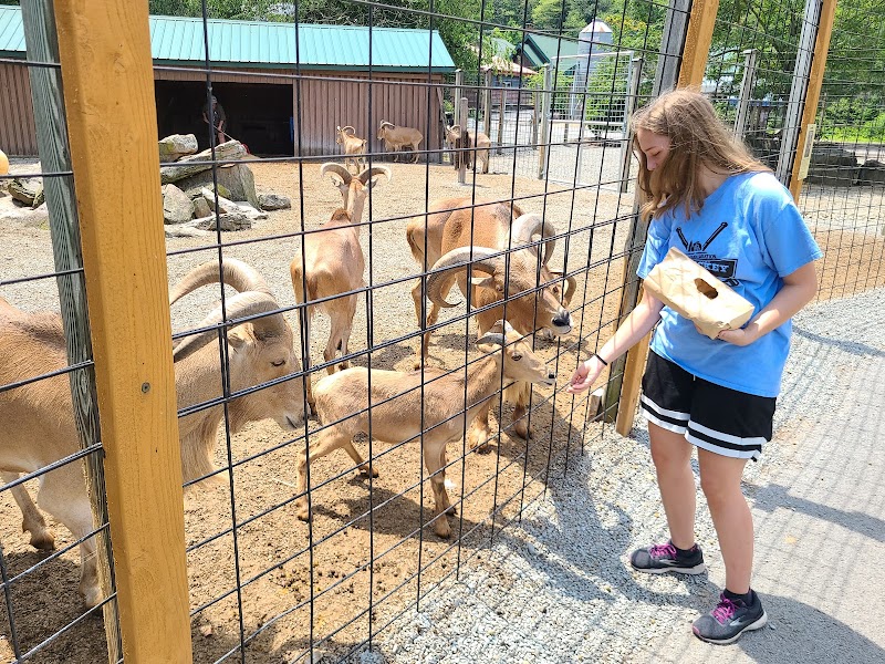 Living Treasures Animal Park