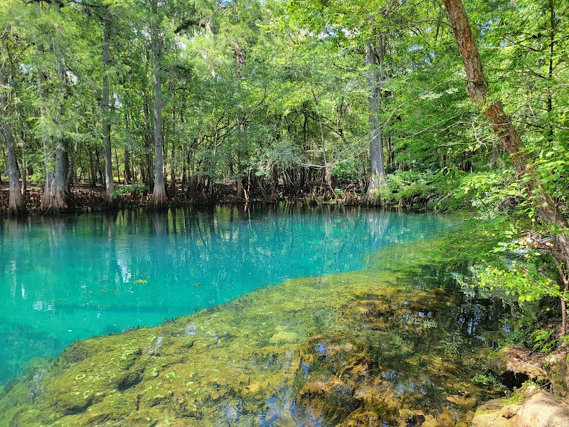 Manatee Springs State Park