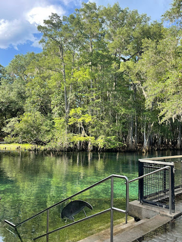 Manatee Springs State Park Tours & Activities