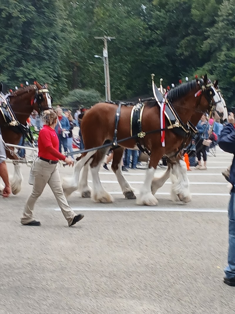 Peoria Park District