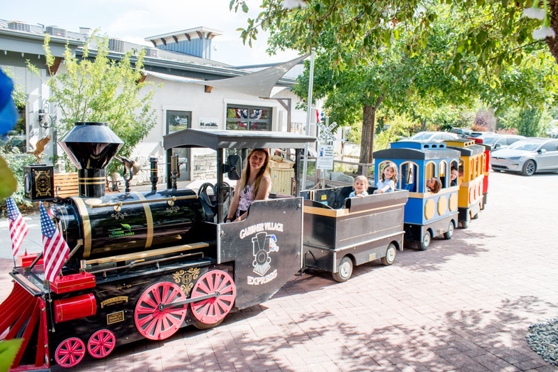 Ricochet Canyon @ Gardner Village