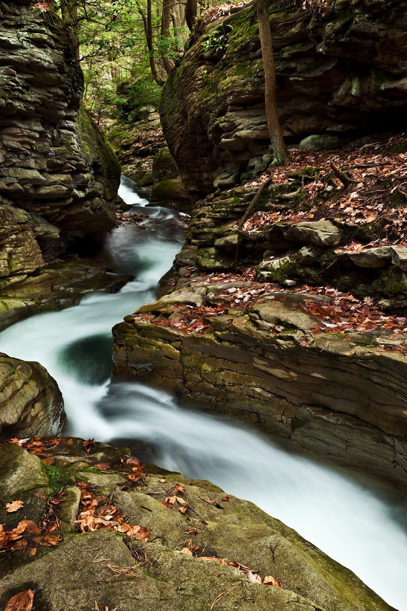 Seven Tubs Recreation Area - Pinchot Forest District