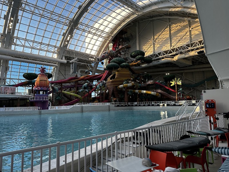 Skudin Surf American Dream