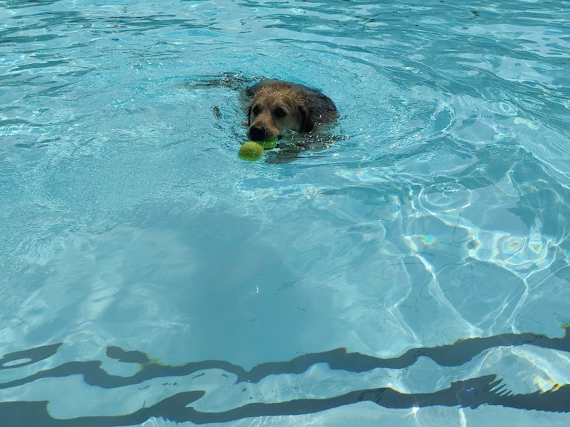 The Sidney and Lois Eskenazi Pool at the Arthur M. Glick JCC