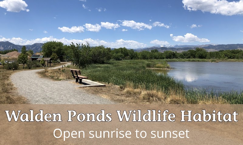 Walden Ponds Wildlife Habitat